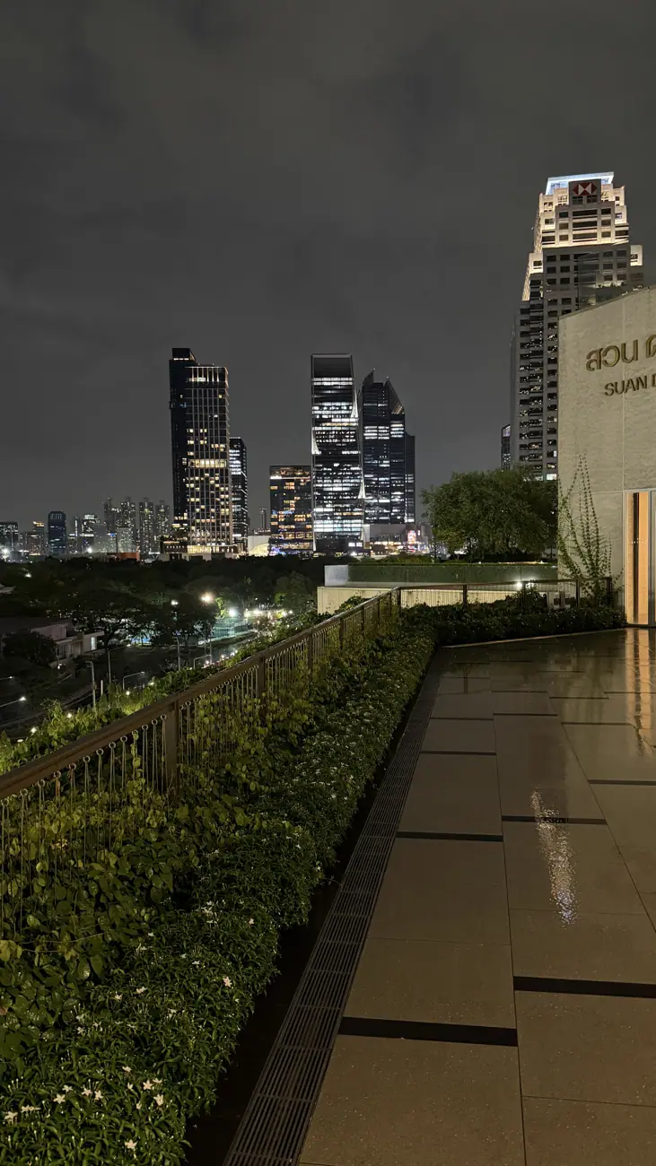 Central Park：夜晚的屋頂城市風景